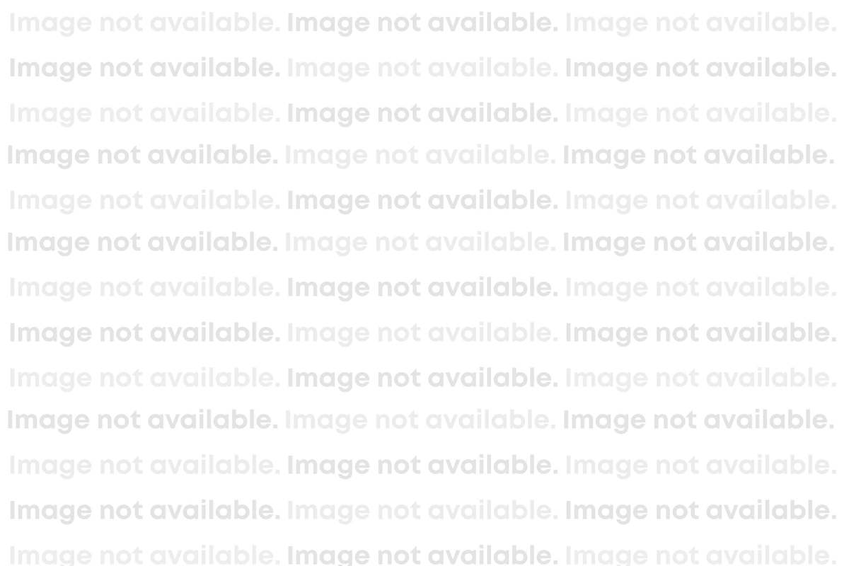 Image Not Available Widgety 18P 2026 version.jpg