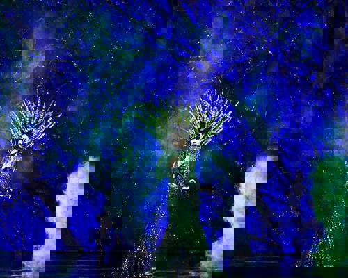 RCI Once Upon A Time.jpeg