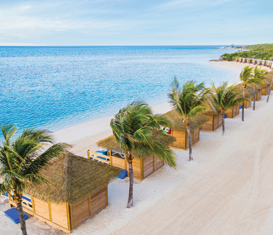 A row of Coco Beach Club cabanas and palm trees on a beach at CocoCay.