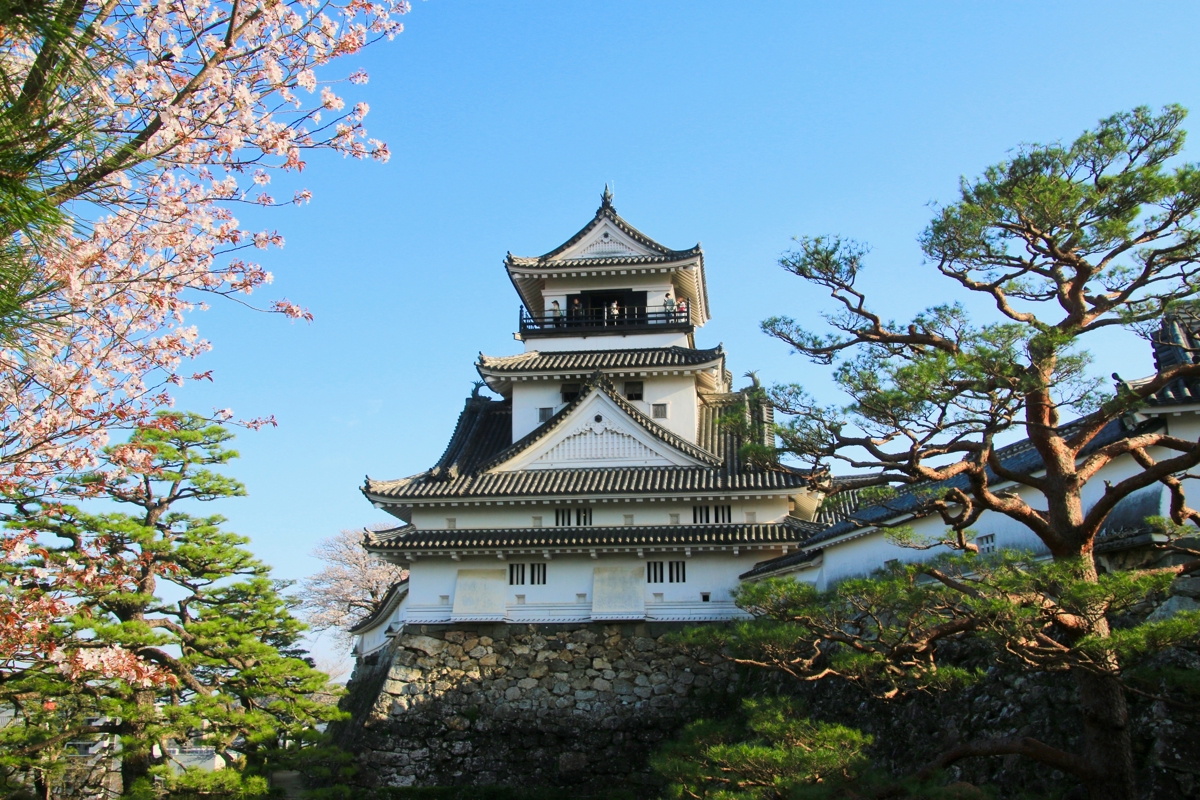 Shutterstock 2289309441 Kochi Japan