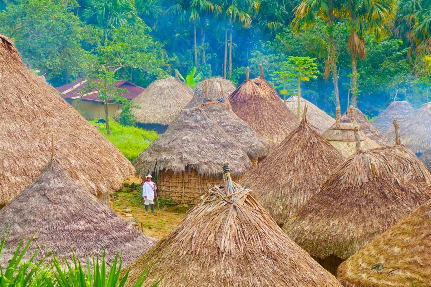 Colombia's Lost City 