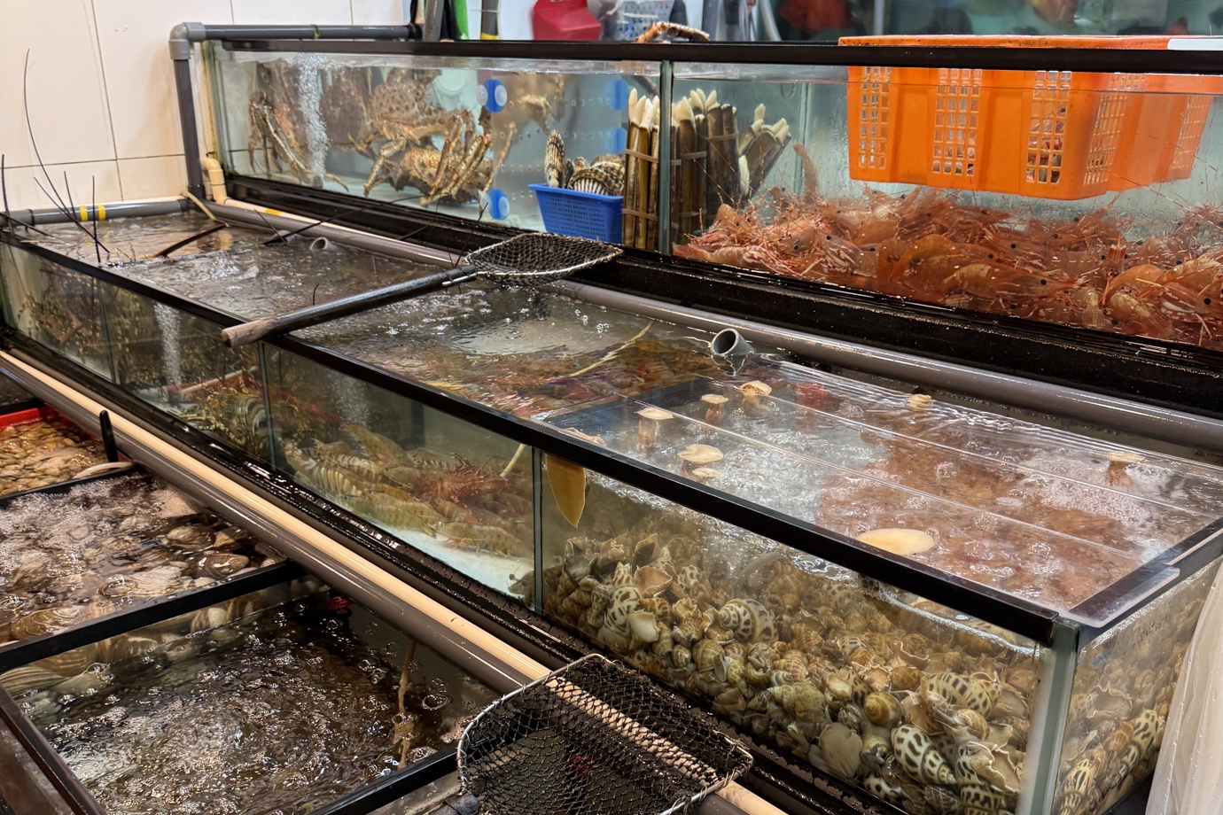 Fresh Seafood at Lei Yue Mun 