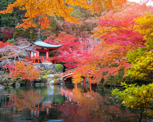 Shutterstock 718184881 Kyoto, Japan