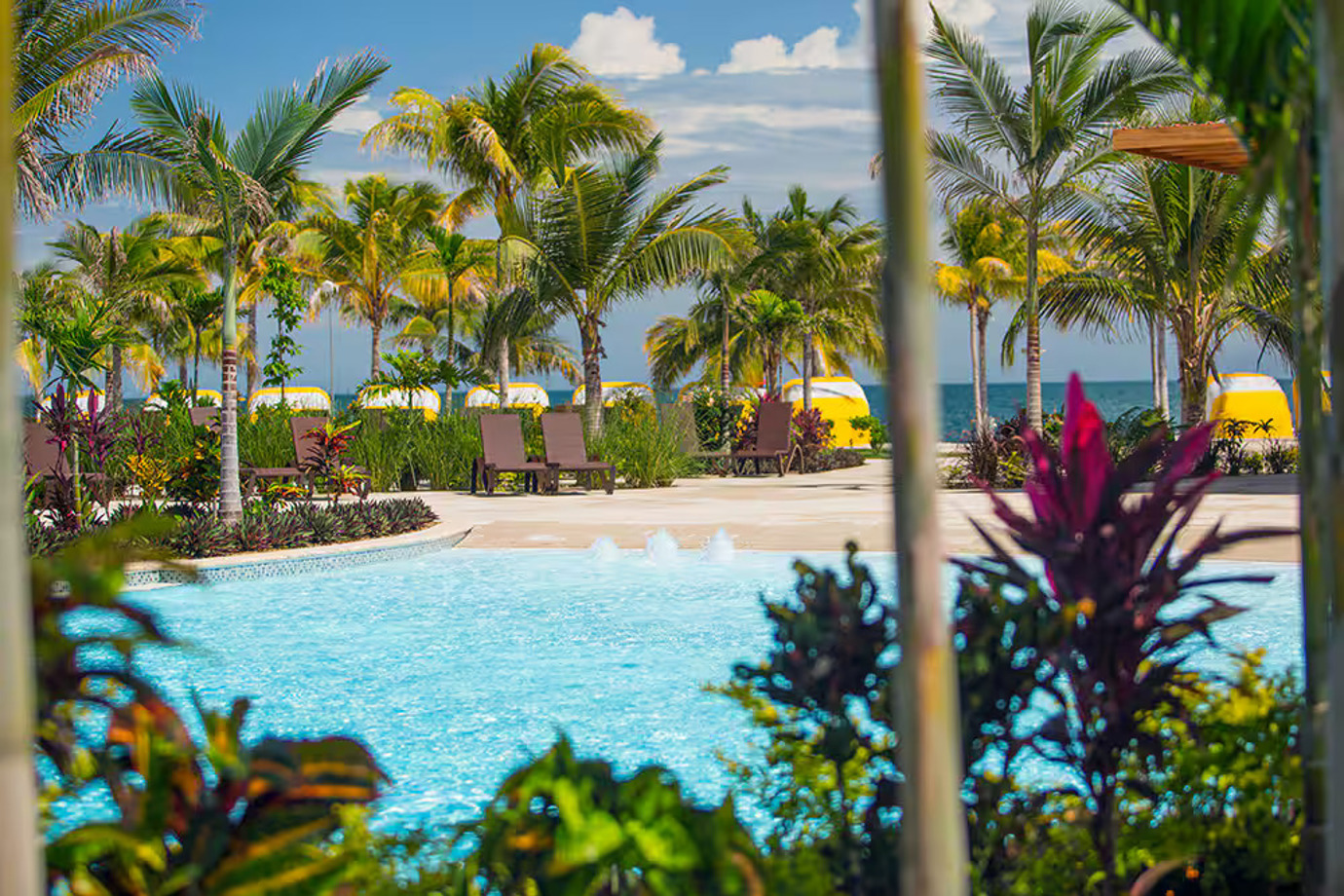 Harvest Caye Pool