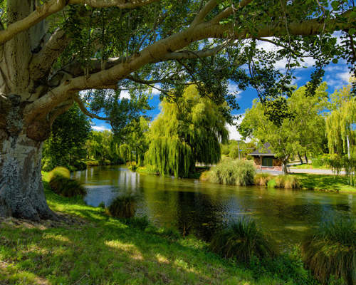 Christchurch Shutterstock 1088214554