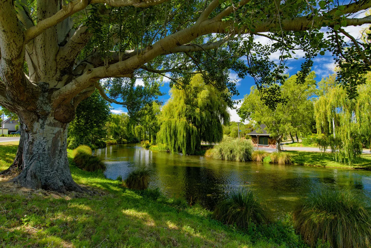Christchurch Shutterstock 1088214554