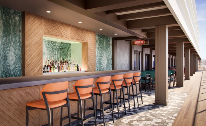 Sugarcane Mojito Bar