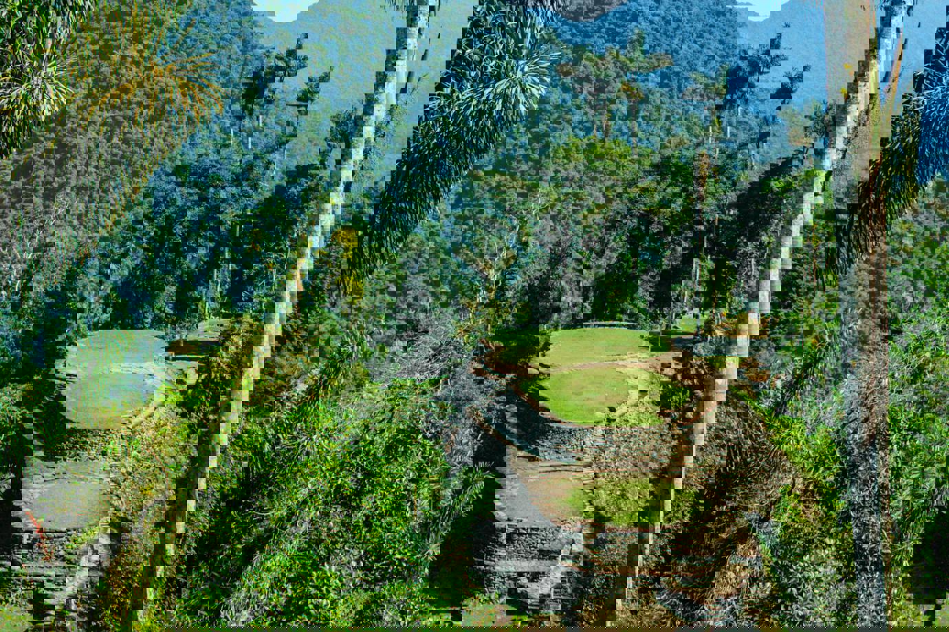 Colombia's Lost City 