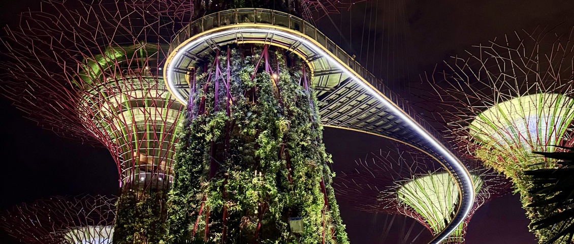 Gardens By The Bay Evening Light Show