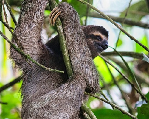 Puerto Limón, Costa Rica