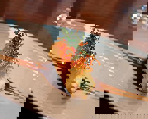 RCI All Access Tour.jpeg