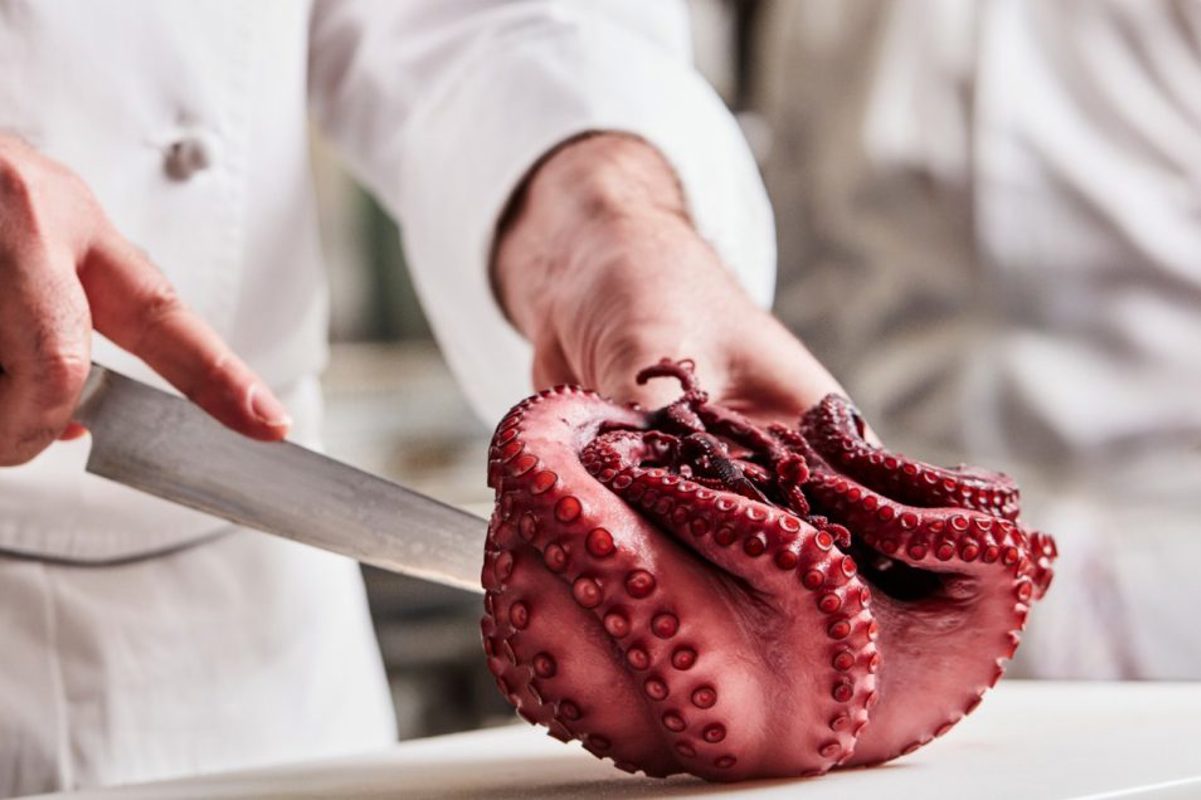 Explora Journeys Explora I Med Yacht Club.jpeg