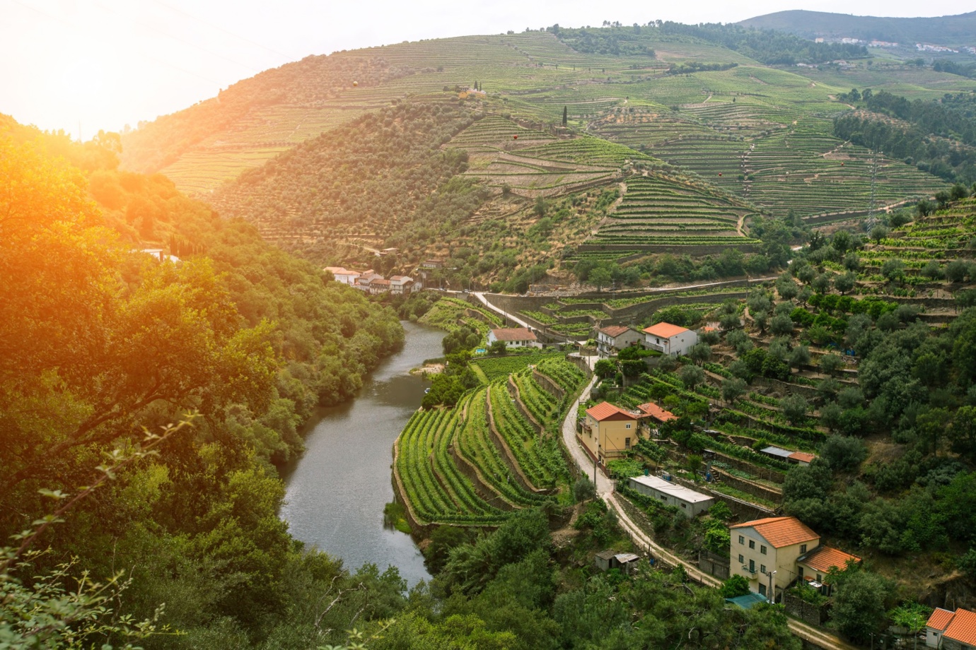 Douro Valley