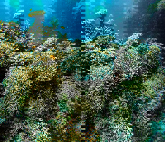 Keeper Reef