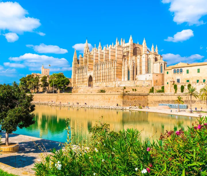 No-Fly Mediterranean Marvels