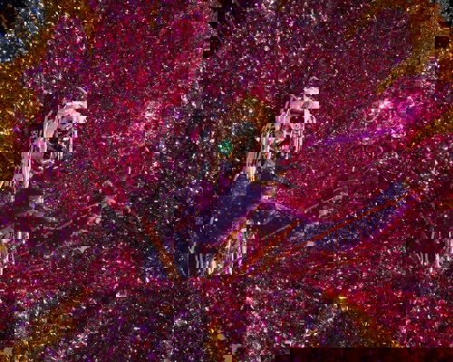 Port of Spain, Trinidad and Tobago (Overnight Port Stay)