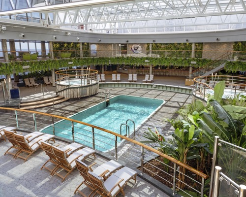 MSC Cruises MSC Seashore Jungle Pool Lounge 3.jpg