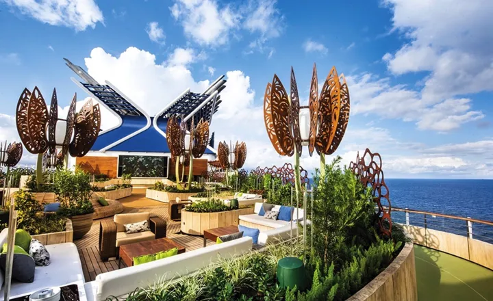 Rooftop Garden