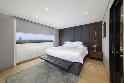 Owner's One-Bedroom Suite - Deck 4