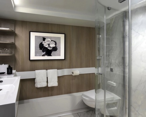 Celebrity Cruise Lines Celebrity Apex AquaClass Sky Suite 2.jpg