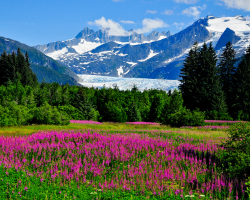 Mendenhall Glacier, Juneau 250683580