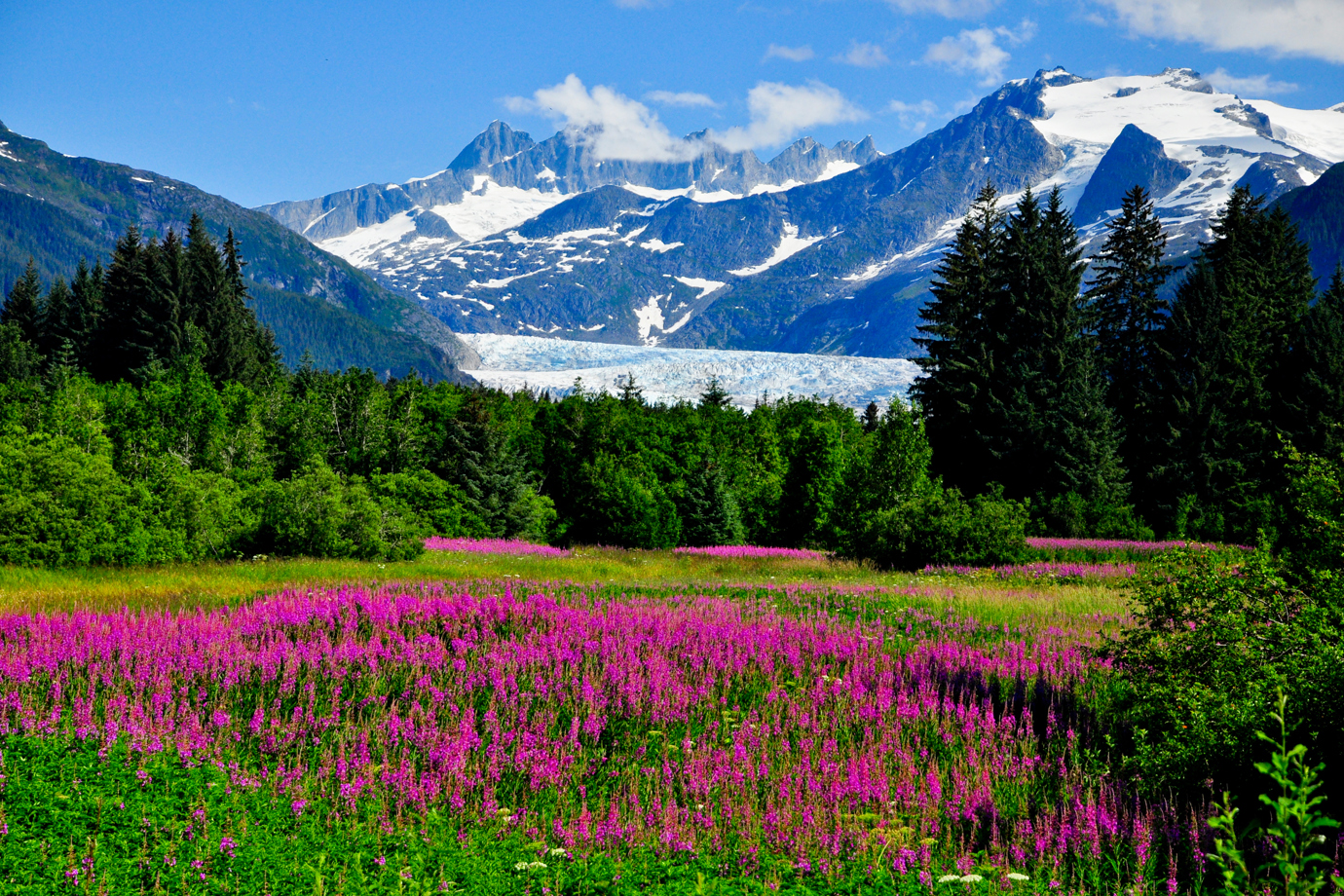Mendenhall Glacier, Juneau