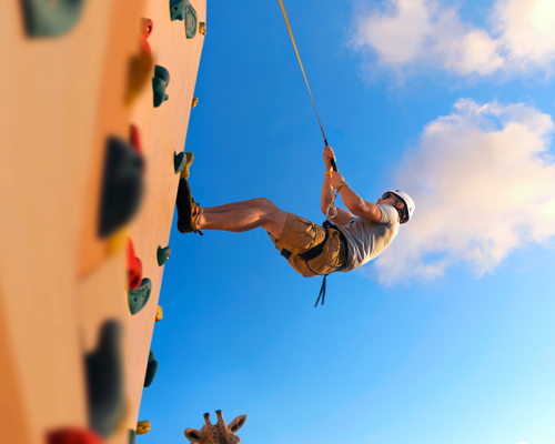 RCI AN Rock Wall.jpg