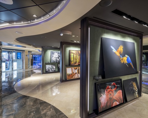 MSC Cruises MSC Seashore Art Gallery 1.jpg