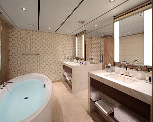 Holland America Nieuw Statendam Pinacle Suite Bathroom.jpg