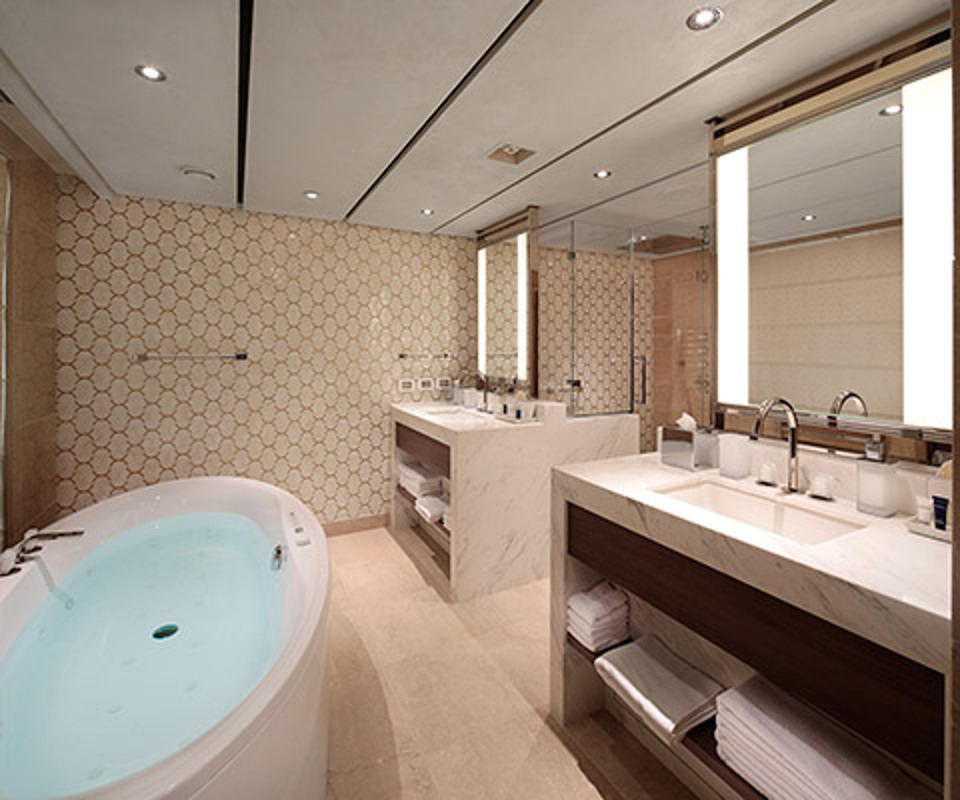 Holland America Nieuw Statendam Pinacle Suite Bathroom.jpg