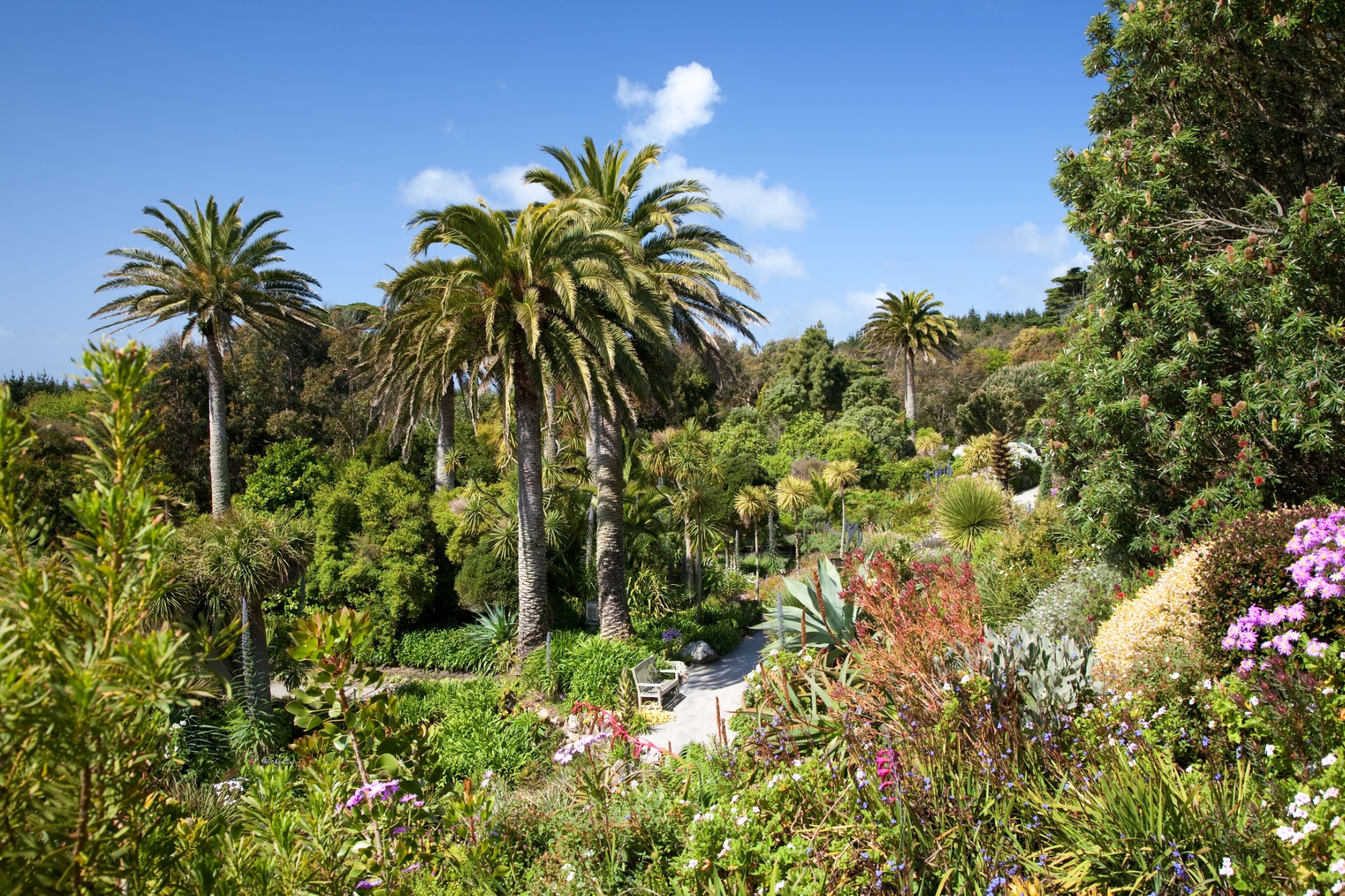 Shutterstock 79662802 Tresco England