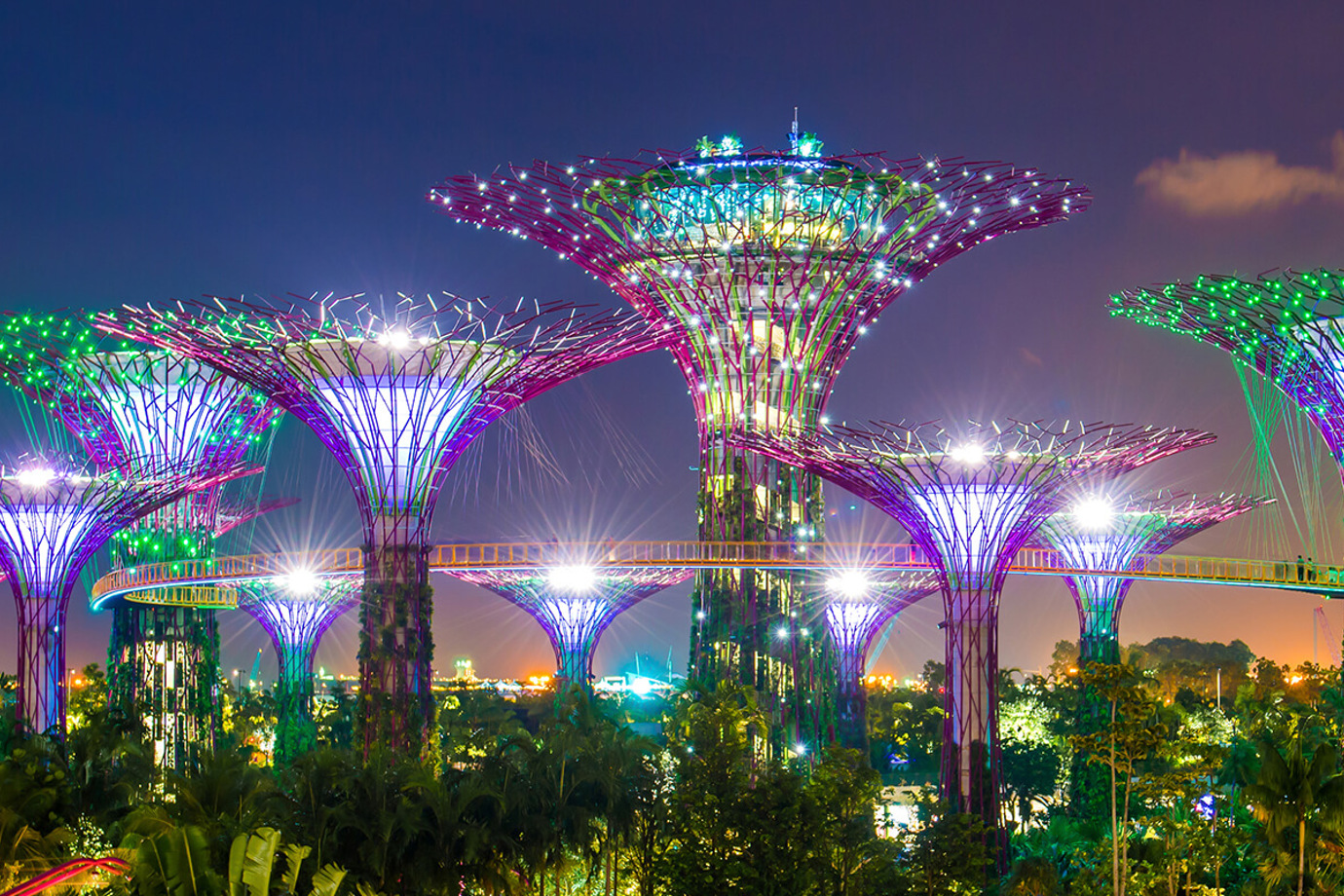 Gardens by the Bay