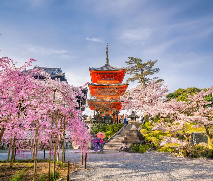 Ultimate Japan & Cherry Blossom