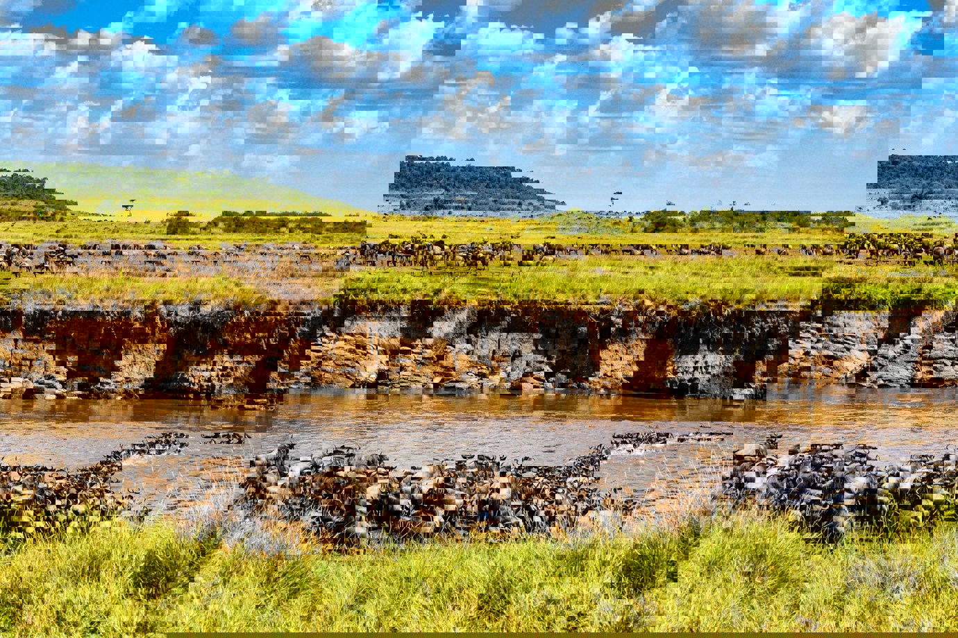 Masai Mara National Park, Kenya