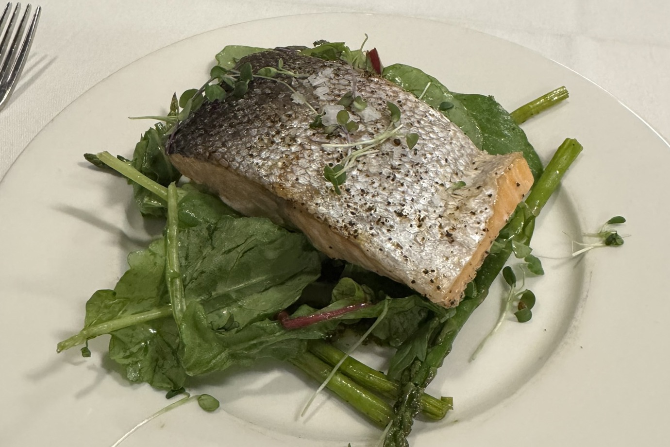 Crispy Skin Lois Lake Steelhead