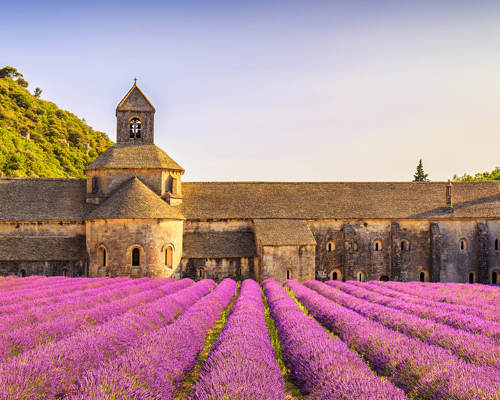 Shutterstock 614473754 Provence