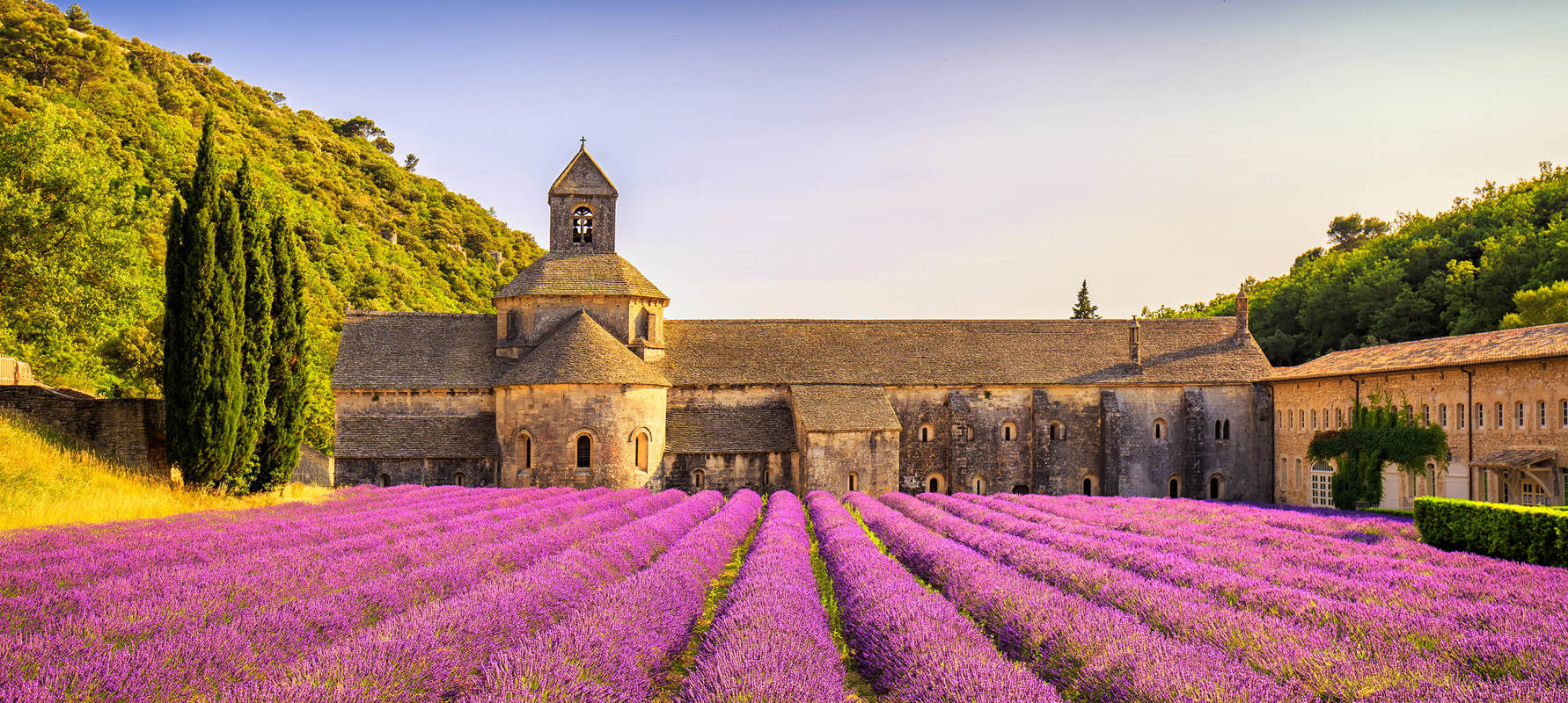 Shutterstock 614473754 Provence