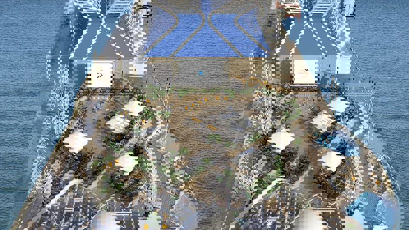 Celebrity Xcel - Rooftop Garden.jpg