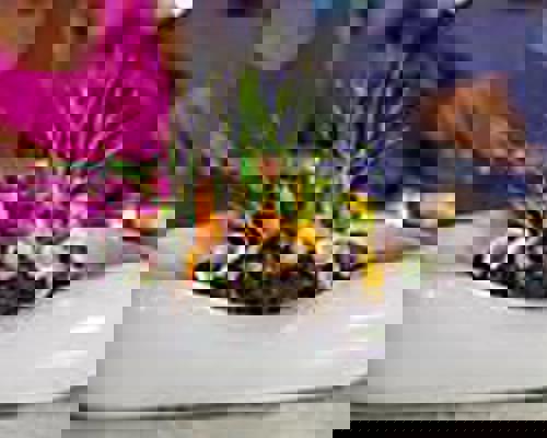 RCI Wonder of the Seas Wonderland.jpeg