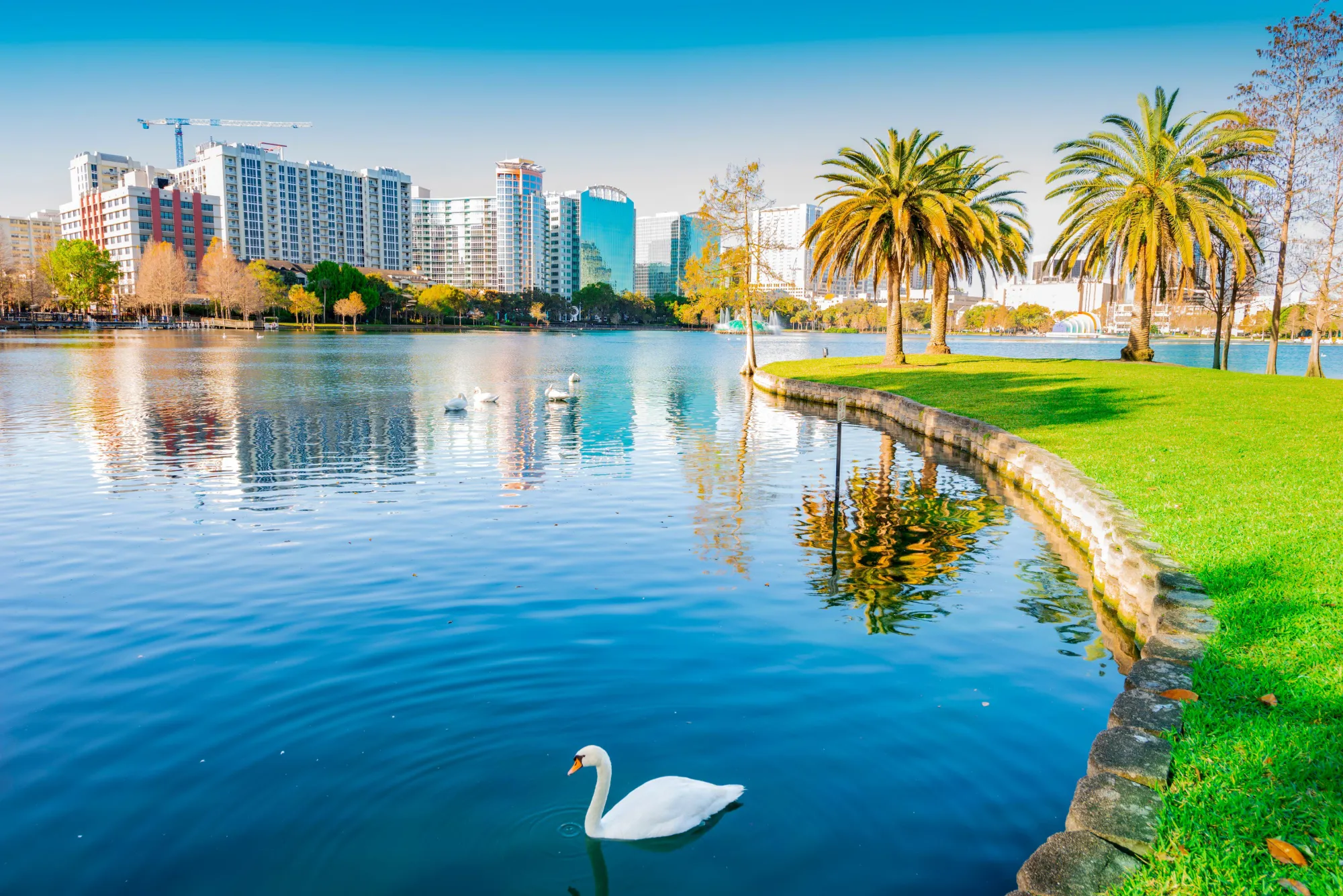 Shutterstock 1465068461 Orlando
