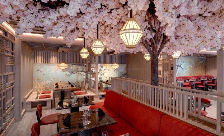 Sakura