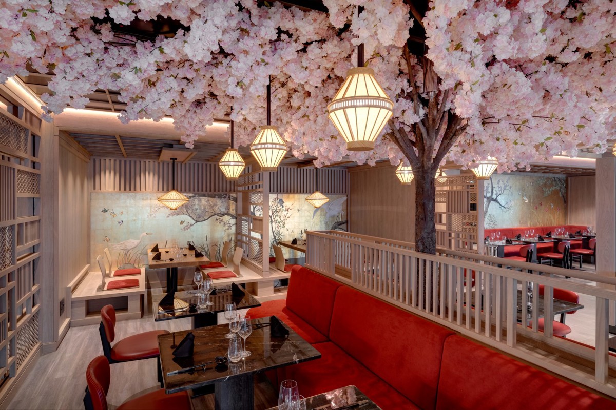 Explora I   Sakura 1