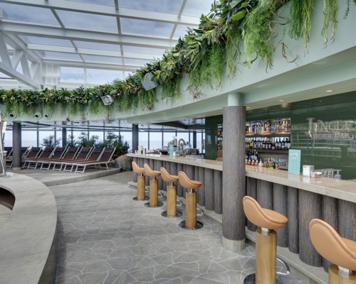 MSC Cruises MSC Seaview Jungle Beach Bar.jpg