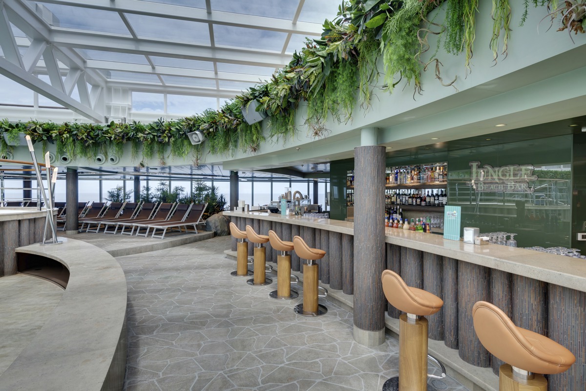 MSC Cruises MSC Seaview Jungle Beach Bar.jpg