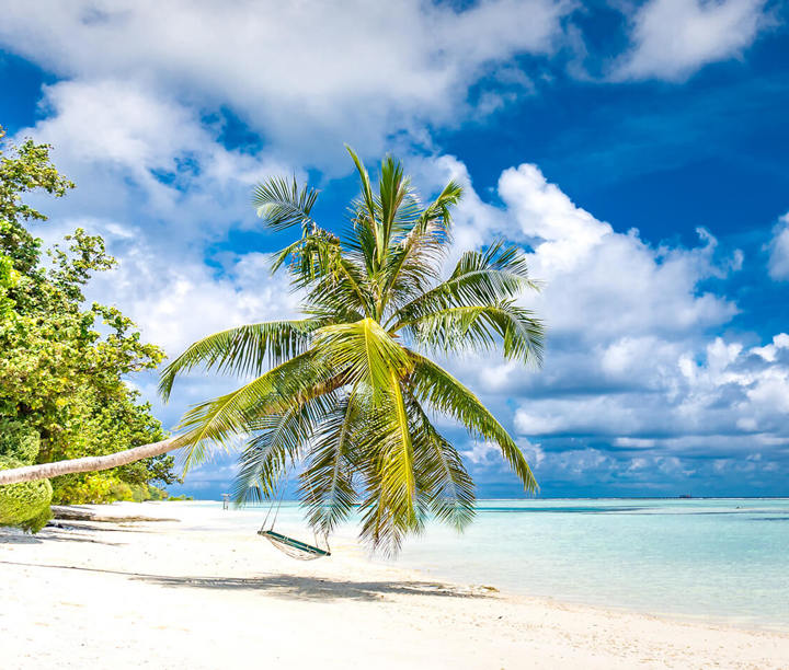 5* Miami Magic & Caribbean Island Dreams