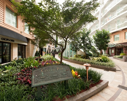 Royal Caribbean International Oasis of the Seas Interior Central Park 07.jpg