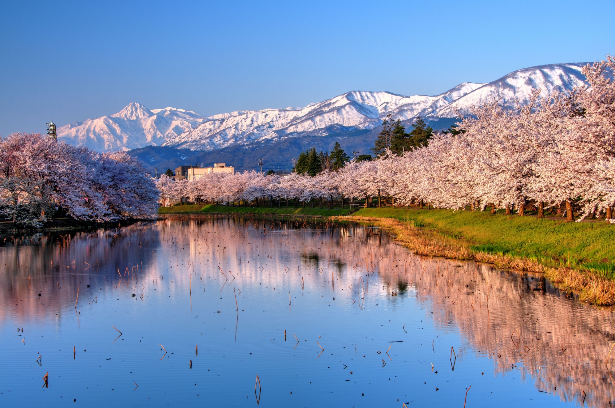 Shutterstock 784566184 Niigata Japan