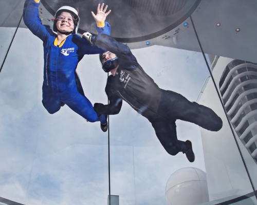 Royal Caribbean International Quantum of the Seas Exterior iFly 4.jpg