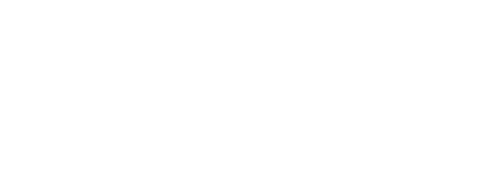 Norwegian Cruise Line Logo