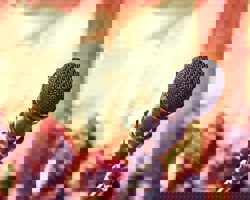 RCI Guest Entertainers.jpeg